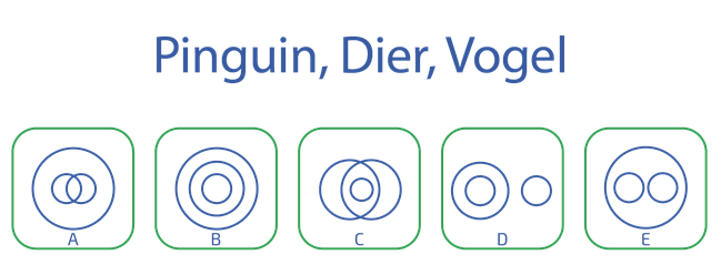 Diagrammen Test Voorbeeld Vraag